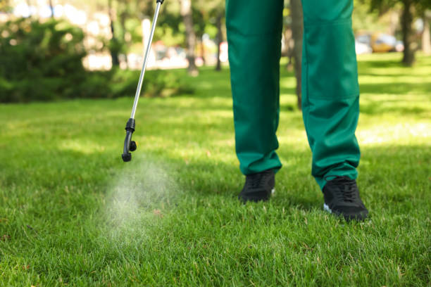 Best Pest Removal Services  in Newellton, LA