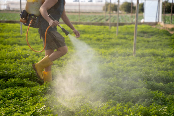 Best Pest Control for Restaurants  in Newellton, LA