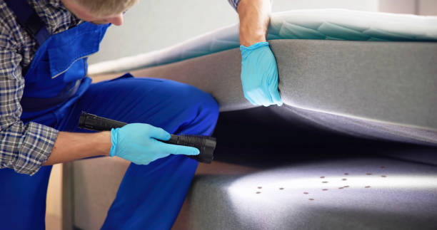 Best Emergency Pest Control  in Newellton, LA