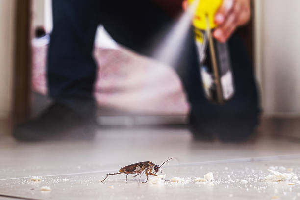Best Best Pest Control Companies  in Newellton, LA