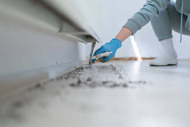Best Pest Control Near Me in Newellton, LA
