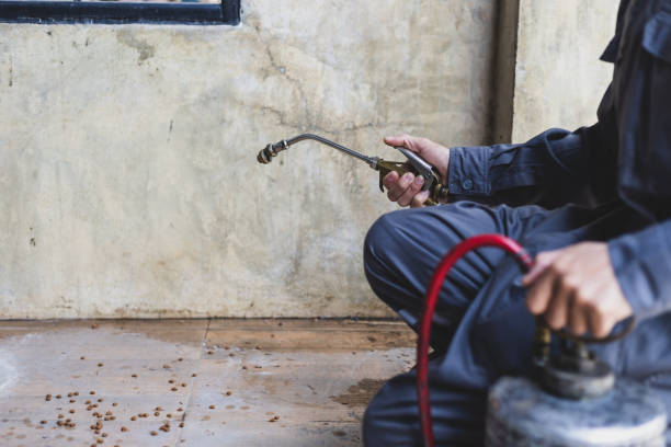 Best Pest Inspection Near Me  in Newellton, LA
